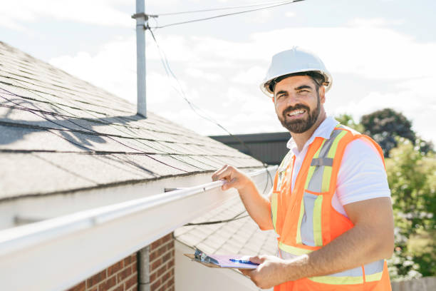 Best Chimney Flashing Repair  in Dillingham, AK