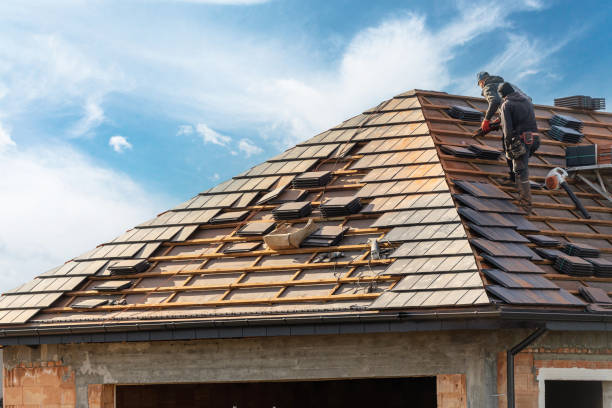 Best Sheet Metal Roofing  in Dillingham, AK