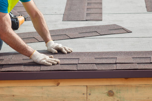 Best Metal Roofing Installation  in Dillingham, AK